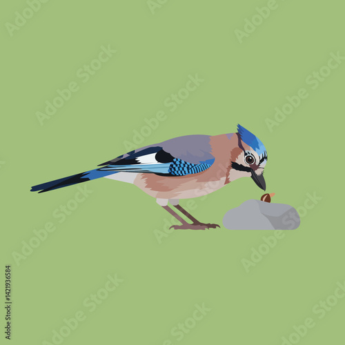 Eurasian Jay bird feeding on nut with blue and brown feathers on green background digital illustration 