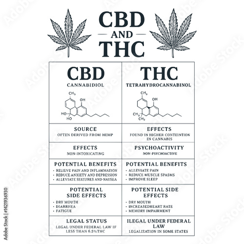 Black White Vector Illustration of CBD and THC: A Vintage Engraved Infographic