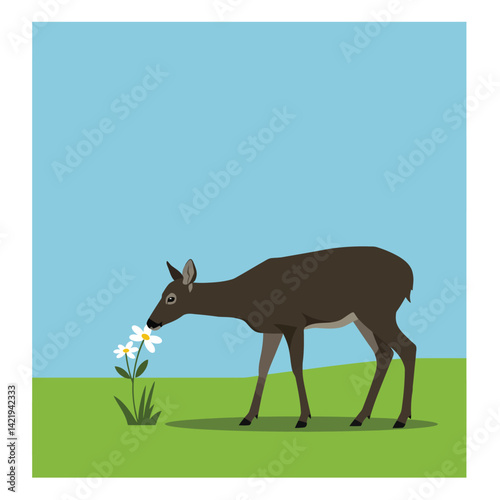 Deer smelling white flowers on green grass under clear blue sky in simple vector style illustration 