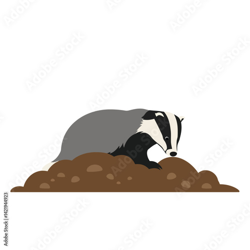 Badger digging in soil mound natural wildlife animal behavior illustration 