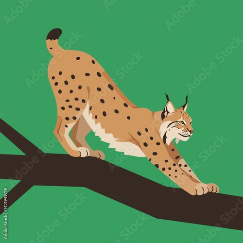 Eurasian lynx stretching on tree branch with green background in vector art style 