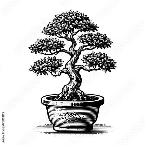 old bonsai tree engraving black and white outline. Scratch board imitation.