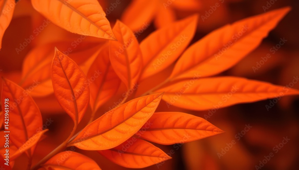 Fototapeta premium Vibrant autumn leaves (7)