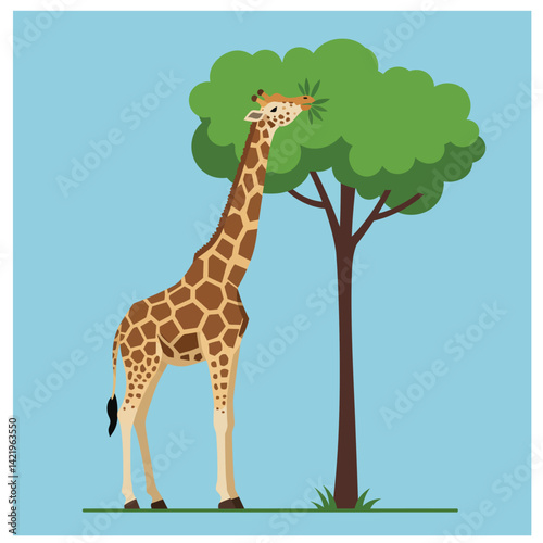 Giraffe feeding on tree leaves in natural habitat with blue sky background vector illustration 