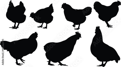 Silhouette of chickens in various poses on white