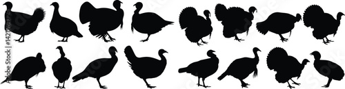Collection of turkey silhouettes in various poses