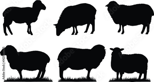 Silhouettes of sheep in various poses on white background