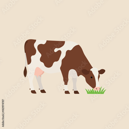 Brown and white dairy cow grazing on green grass simple vector illustration in beige background