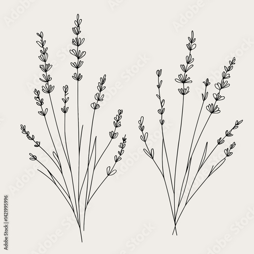 Minimalistic line drawing of lavender plants representing nature and tranquility