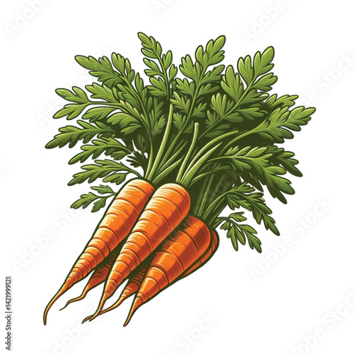 bunch of carrots