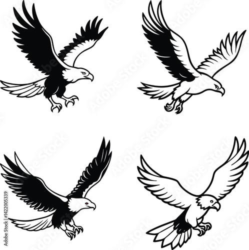 Bald eagle flying draw and paint on white background