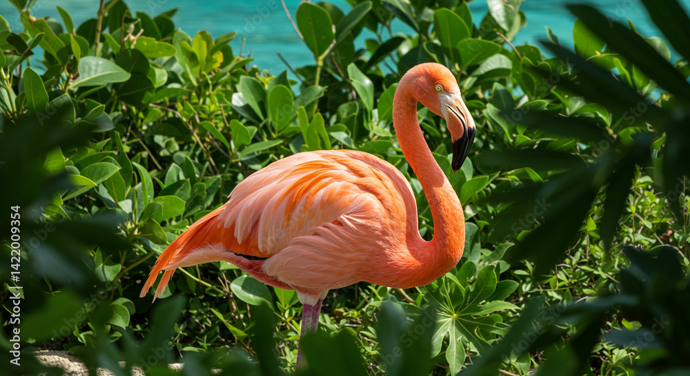 Fototapeta premium Flamingo Standing Among Green Foliage by Turquoise Water