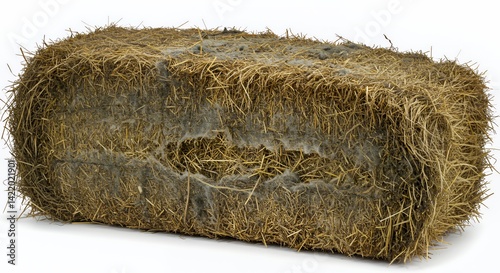Detailed Closeup of Moldy Hay Bale Isolated on White