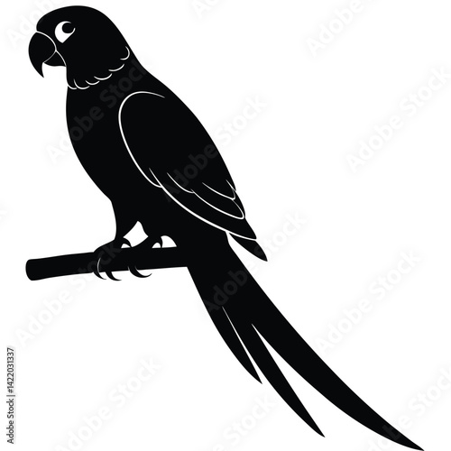 A parrot silhouette perched on a branch,