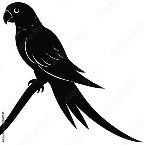  A parrot silhouette perched on a branch,