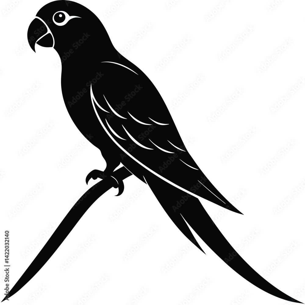 Obraz premium A parrot silhouette perched on a branch,