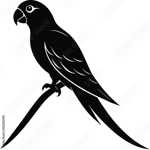  A parrot silhouette perched on a branch,