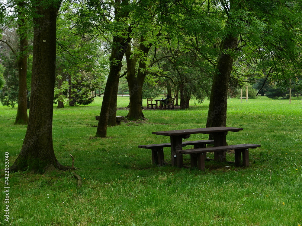 Parco durante un temporale Parco durante un temporale