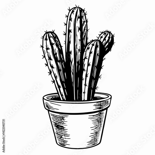 Stylized cactus plant growing in a pot, showcasing its spiky texture against a simplistic background, symbolizing resilience and aesthetic simplicity.