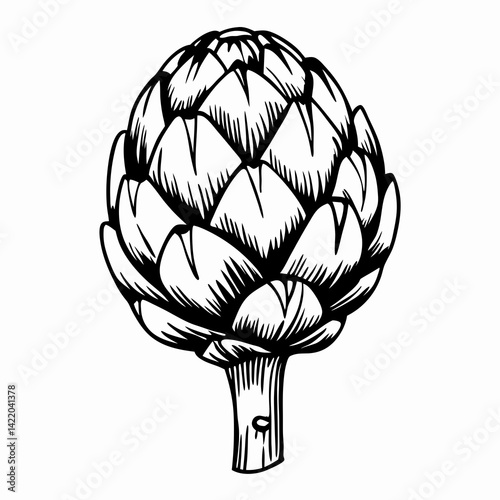 Artichoke Illustration - Detailed Line Drawing - Black and White - Represents Organic Food and Culinary Delights