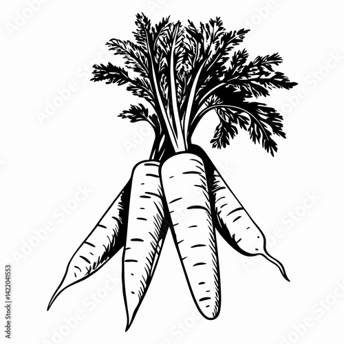 Carrots with Green Tops Displaying Freshness and Health in a Rustic Style Representing Farm-to-Table Freshness