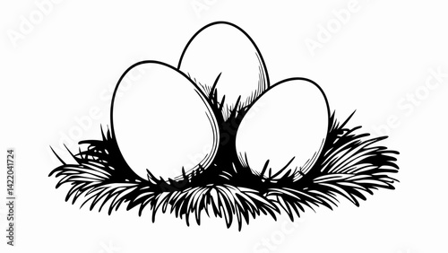 Three eggs nestled in a grassy nest, representing nature's creation and new beginnings, illustrating growth and potential.
