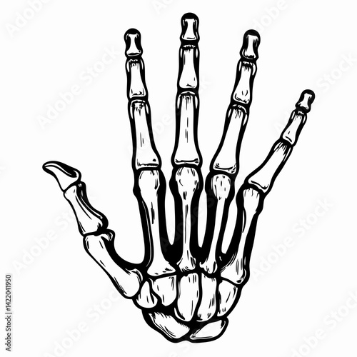 Skeletal Hand Illustration Showing a Human Bone Structure in Black and White for Anatomical Study or Medical Education