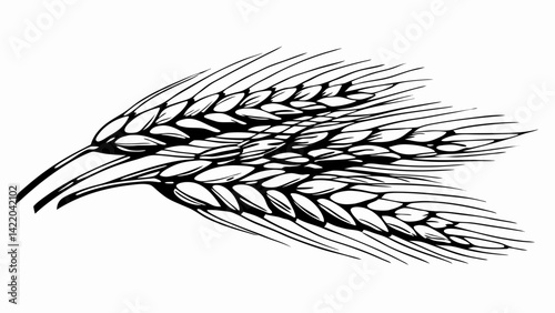 Stylized wheat illustration representing agriculture, growth, and nature in black and white, depicting the importance of grains for food production.