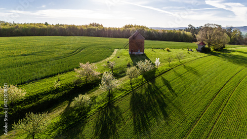 Obraz na płótnie drone footage of historic windmill and blooming trees in czech countryside w salonie