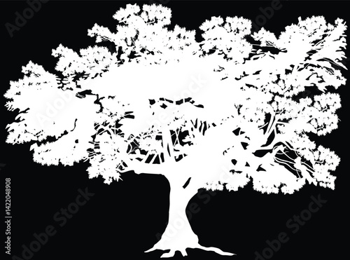 white isolated large tree with lush crown
