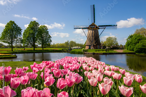 windmill and tulips