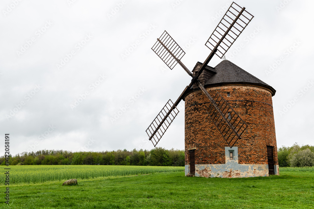 chvalkovice windmill among flowering trees in springtime
