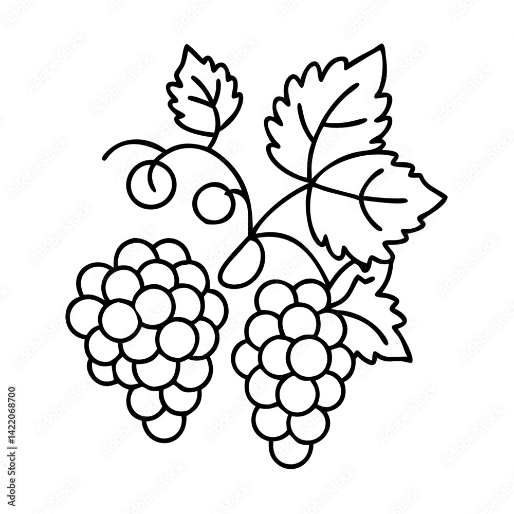 Fototapeta premium grapevine icon, grapevine line art - simple line art of grapevine, perfect for grapevine logos and icons