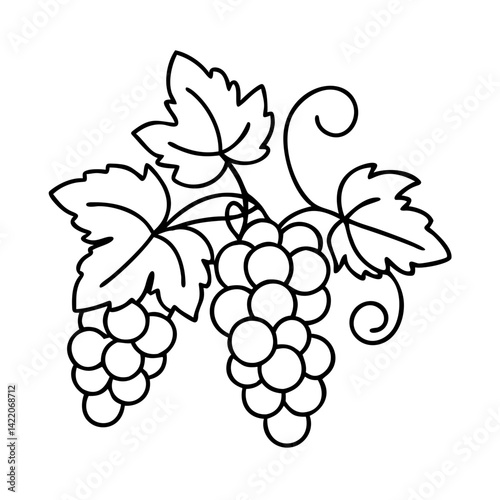 grapevine icon, grapevine line art - simple line art of grapevine, perfect for grapevine logos and icons