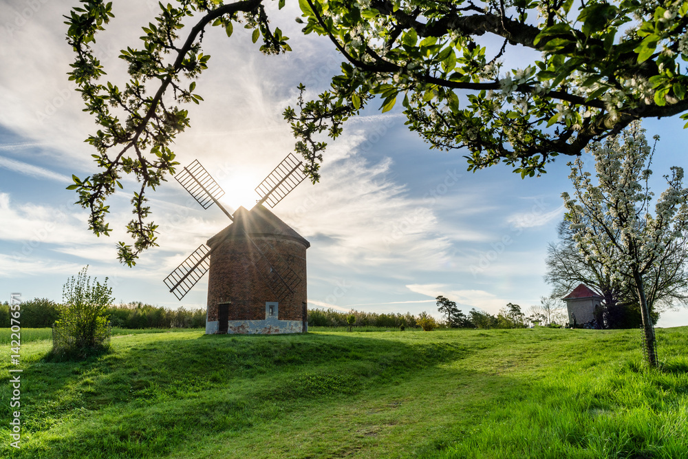 chvalkovice windmill among flowering trees in springtime