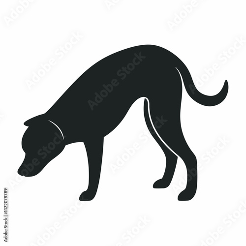 A dog bowing down with its rear in the air ready to play 