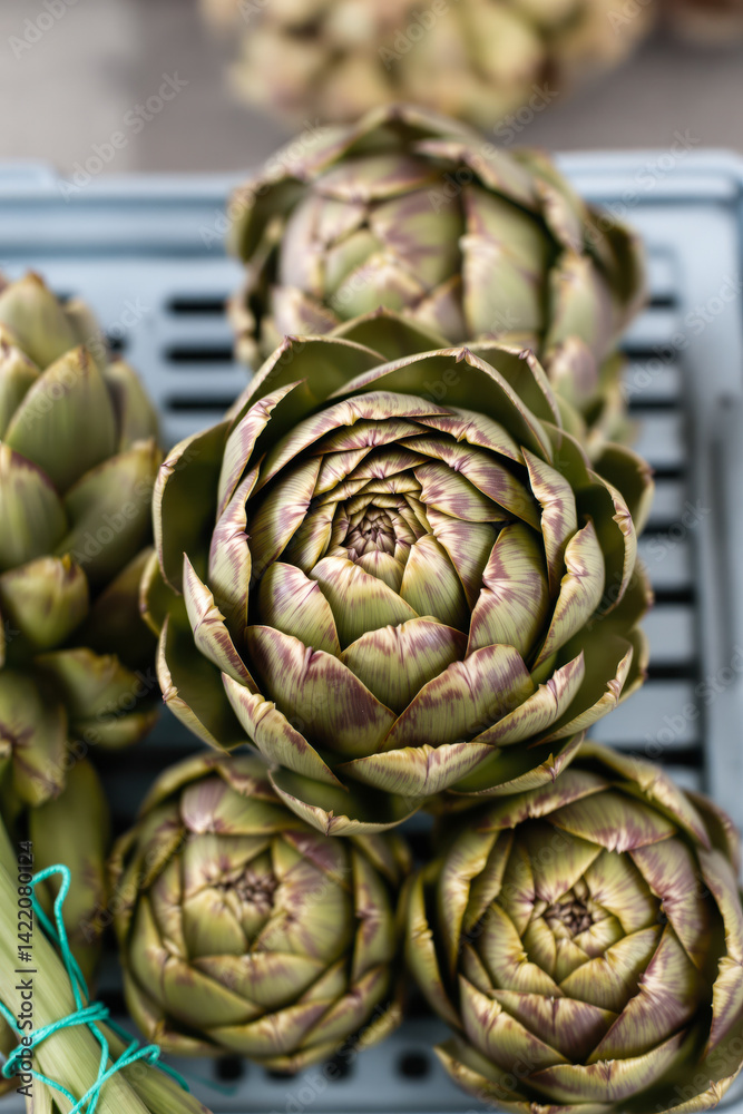 Obraz premium close-up of fresh green and purple artichokes