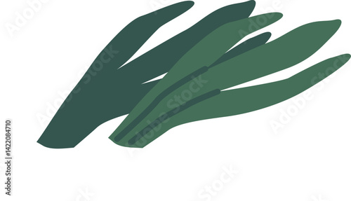 Green leaves seasoning bunch vector illustration