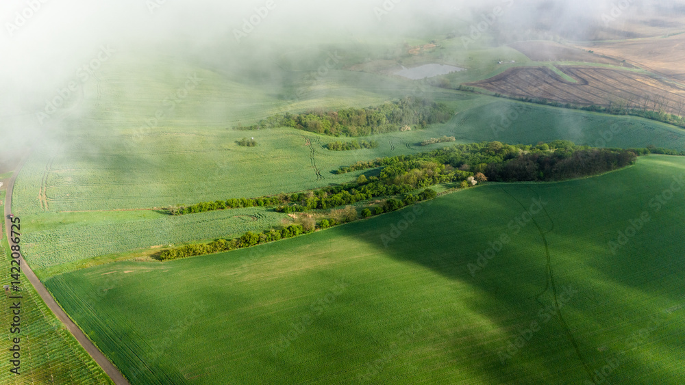aerial drone view of rolling hills in moravia, czech republic
