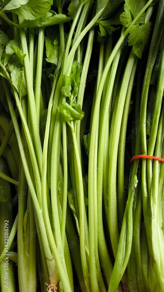 Obraz premium Fresh vegetables for cooking. Vegetables contain dietary fiber that helps cleanse the intestines.