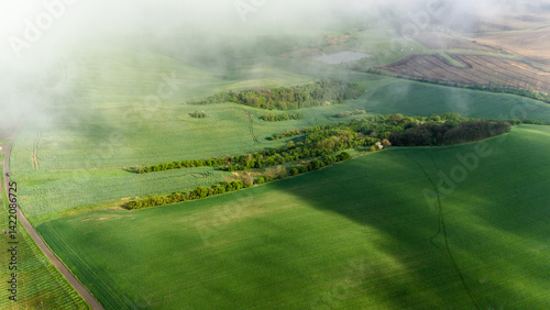 Obraz na płótnie aerial drone view of rolling hills in moravia, czech republic w salonie