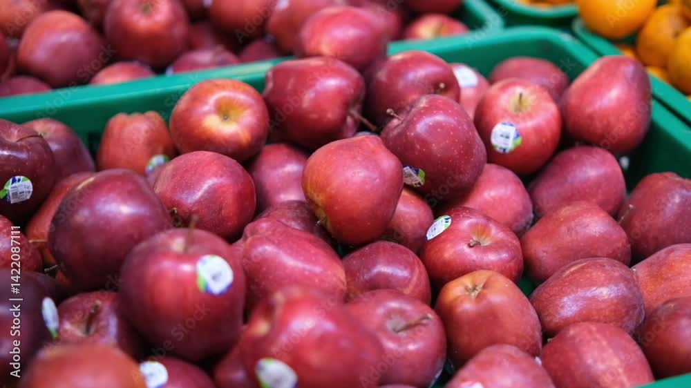 Crimson Apples in Green Produce Bin, Close-Up Crimson Apples in Green Produce Bin, Close-Up