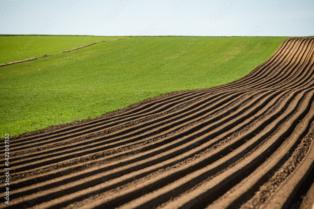 colorful countryside farmland in springtime