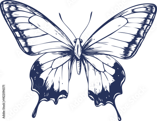 Intricate navy blue butterfly illustration with flowing wing design. Vector illustration