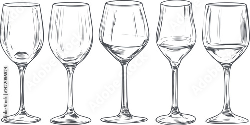 Illustration of five different wine glasses in black and white sketch style. Vector illustration