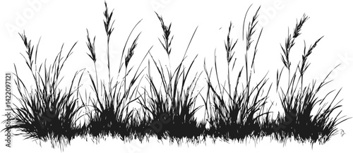 Black and white silhouette of tall wild grasses swaying gracefully. Vector illustration