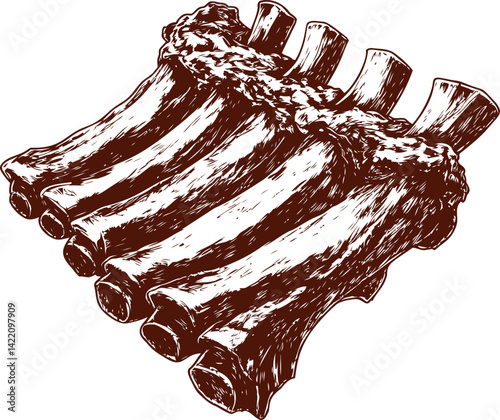 Illustration of detailed sketch of beef ribs in vintage woodcut style. Vector illustration