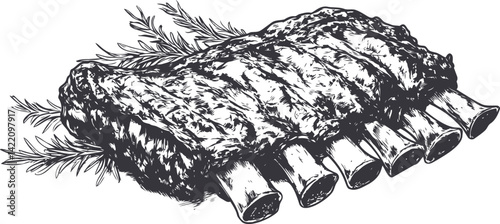 Illustration of detailed beef ribs with herbs, black and white drawing. Vector illustration