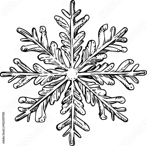 Black and white detailed illustration of a snowflake in vintage style. Vector illustration