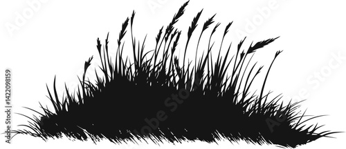 Silhouette of grass growing in a natural clump, vector black and white. Vector illustration